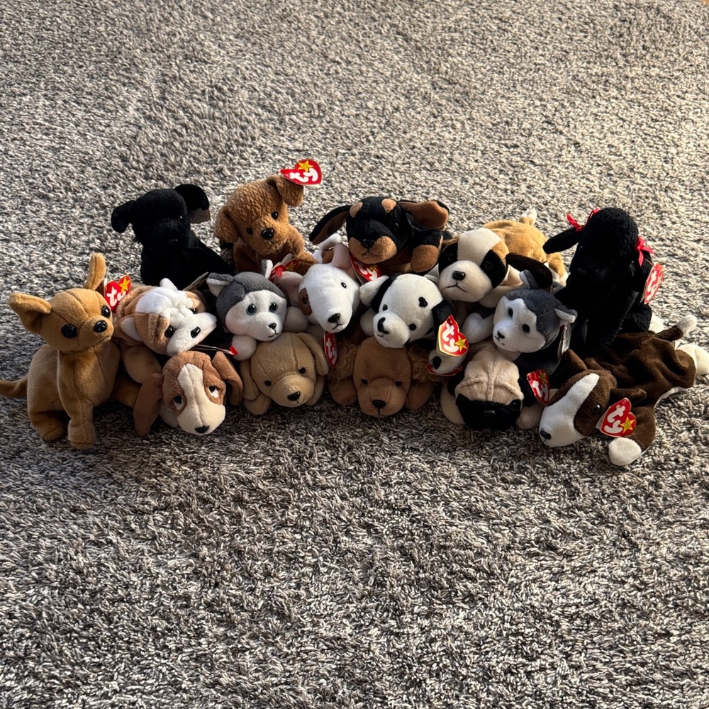 Beanie Baby Dog Set